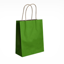 Papierowe torby na prezenty a4 25x32 10 szt zielone D